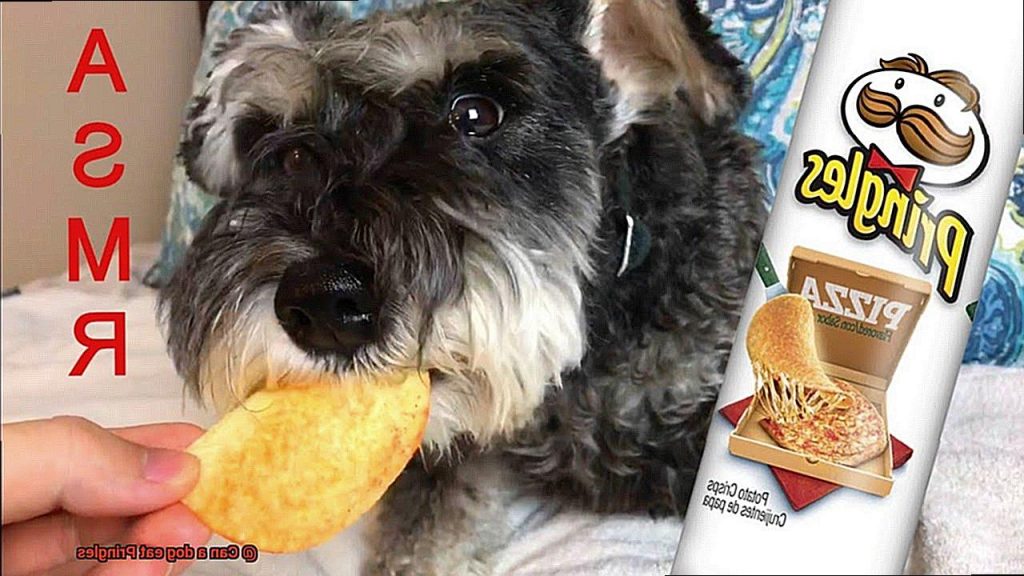 Can a dog eat Pringles?