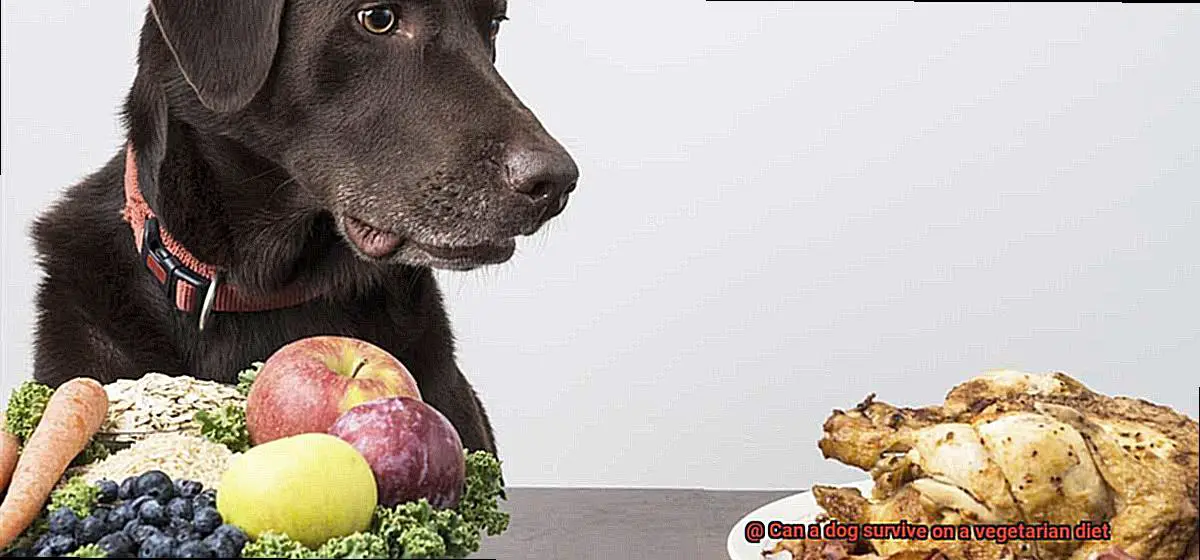 Can a dog survive on a vegetarian diet-7