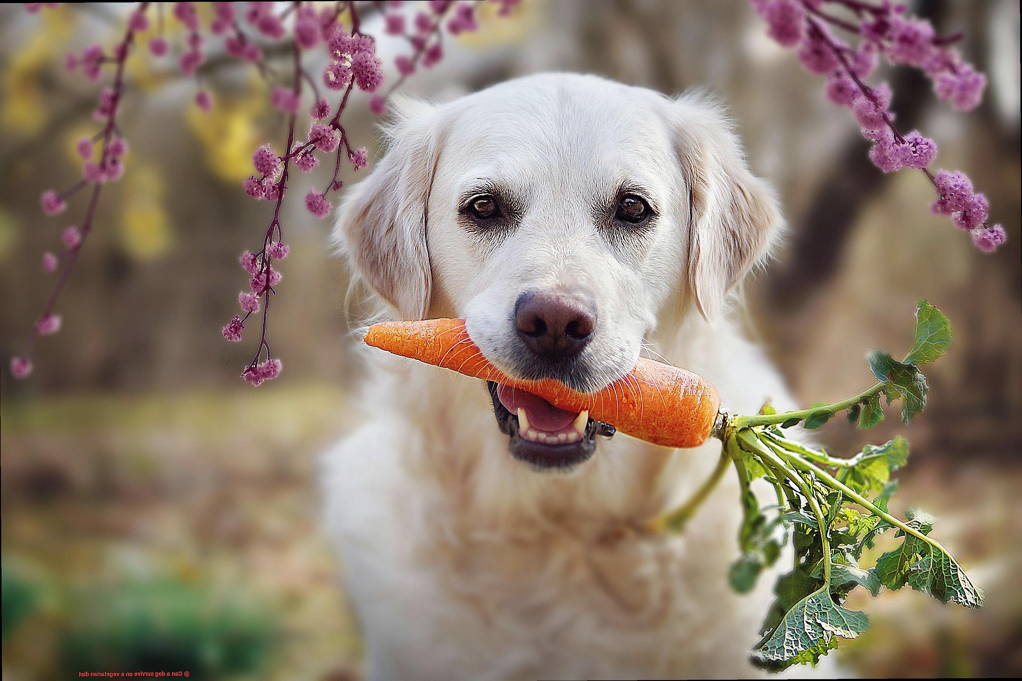 Can a dog survive on a vegetarian diet-3