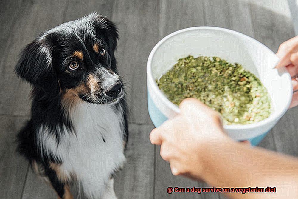 Can a dog survive on a vegetarian diet-6