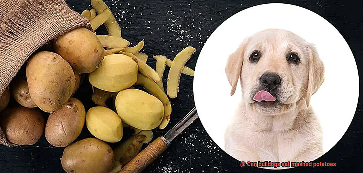 Can bulldogs eat mashed potatoes-5