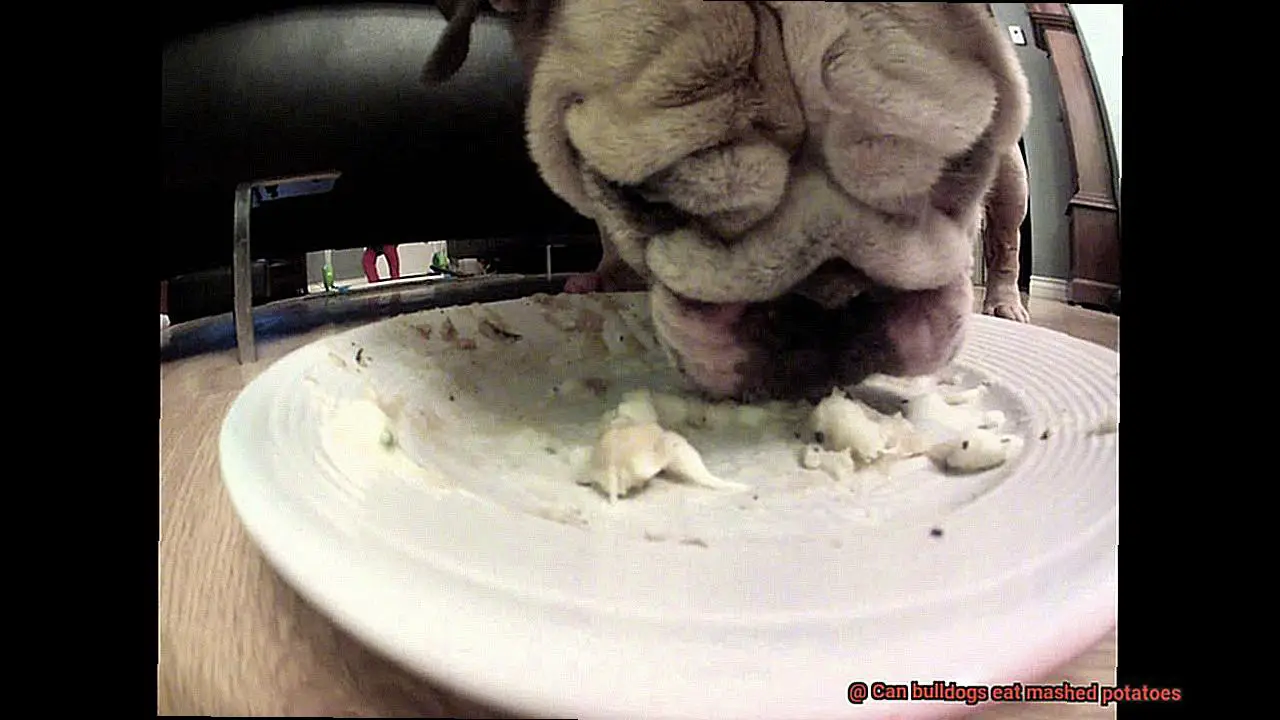 Can bulldogs eat mashed potatoes-6