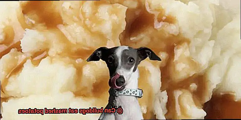Can bulldogs eat mashed potatoes-4