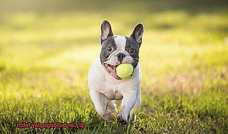 Can bulldogs play fetch-2