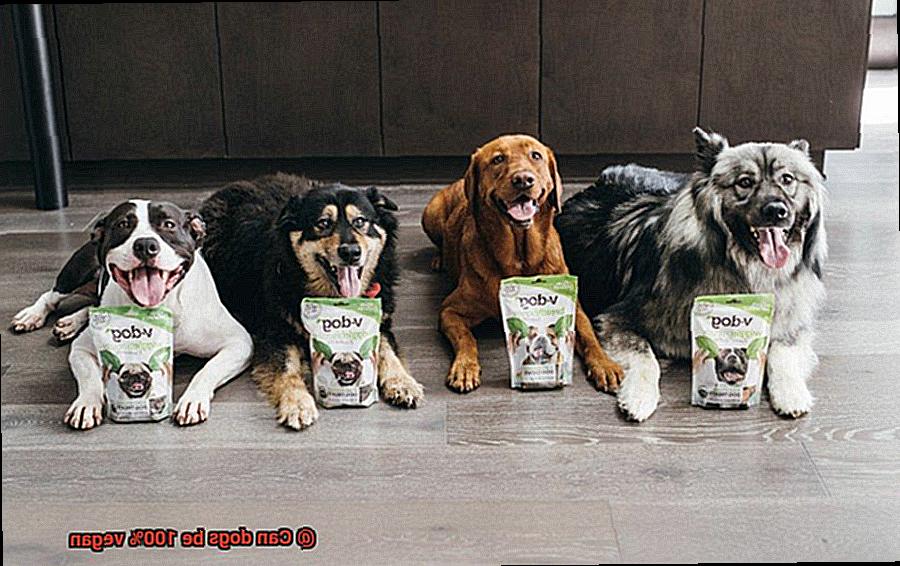 Can dogs be 100% vegan-2