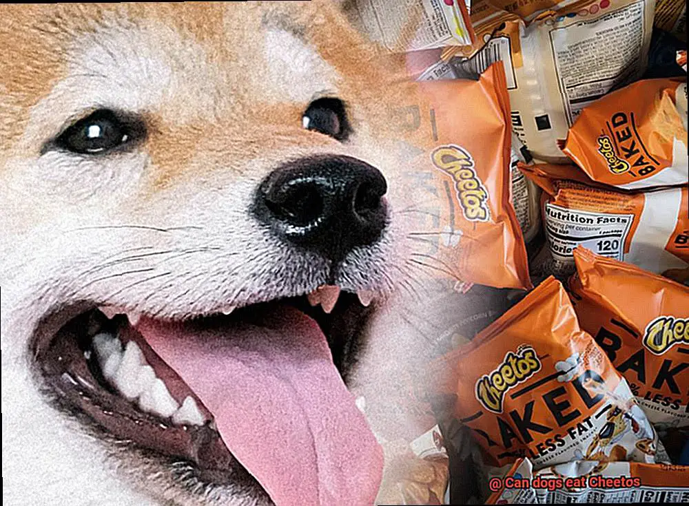 Can dogs eat Cheetos-2