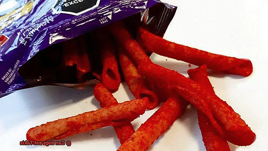 Can dogs eat Takis-2
