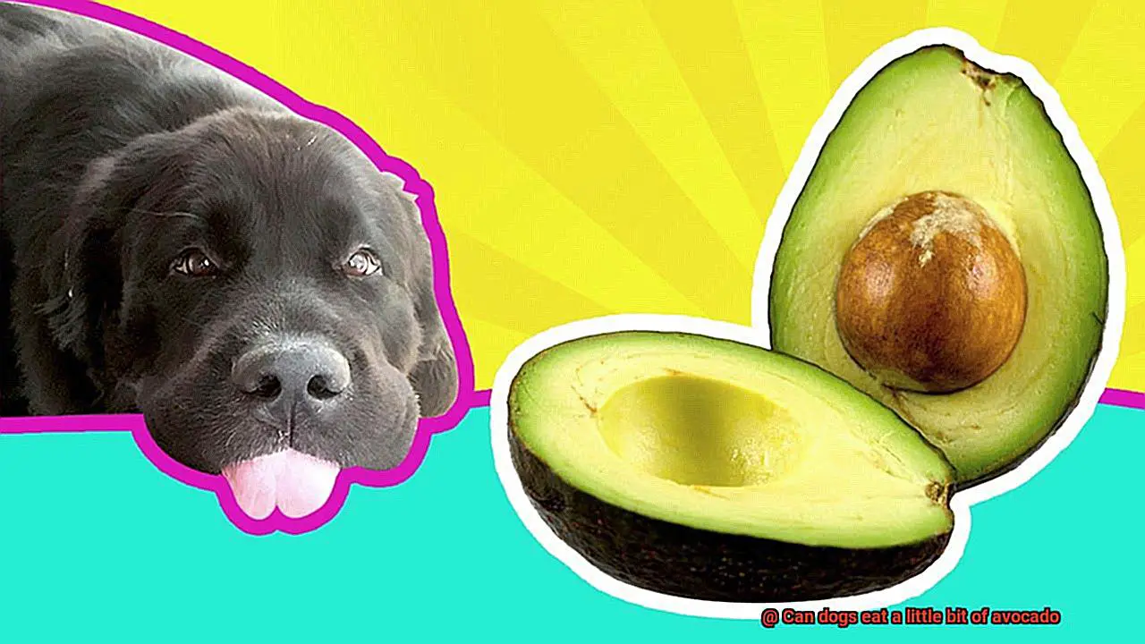 Can dogs eat a little bit of avocado-3