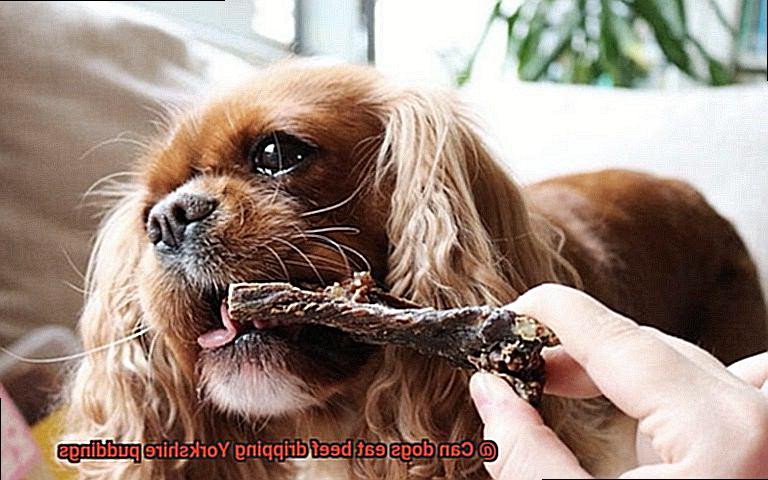 Can dogs eat beef dripping Yorkshire puddings-3