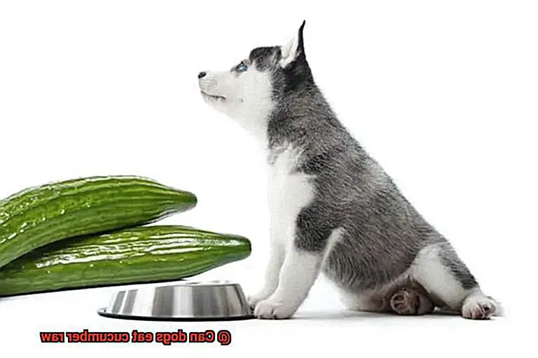Can dogs eat cucumber raw-3