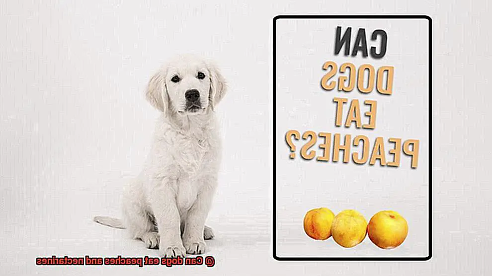 Can dogs eat peaches and nectarines-3