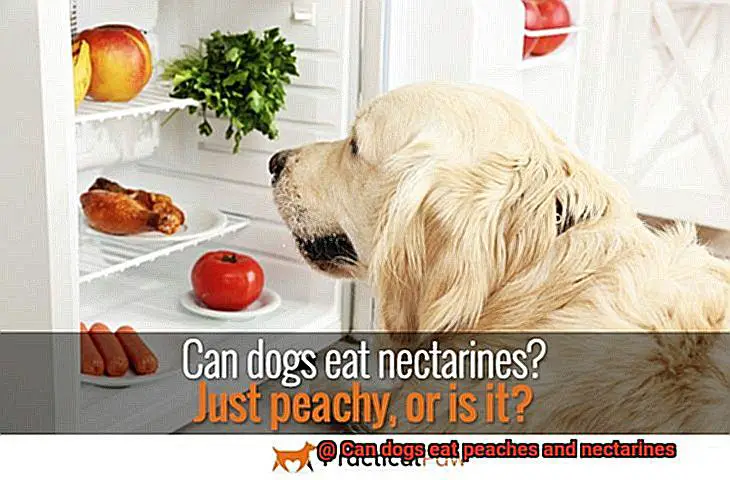 Can dogs eat peaches and nectarines-2