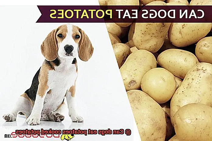 Can dogs eat potatoes cooked potatoes-2
