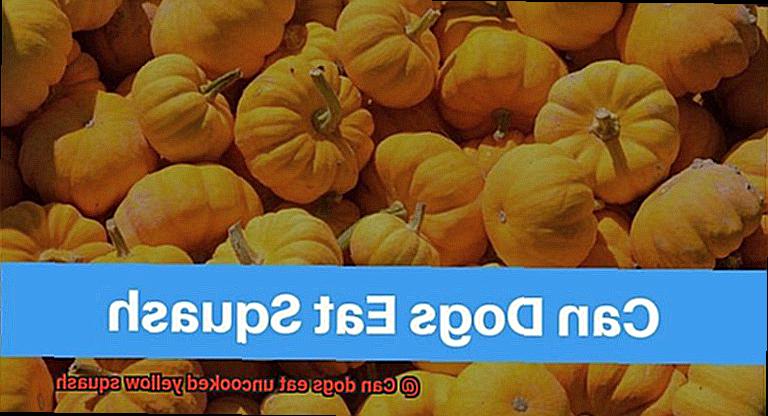 Can dogs eat uncooked yellow squash-3