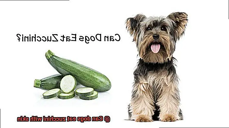 Can dogs eat zucchini with skin-3