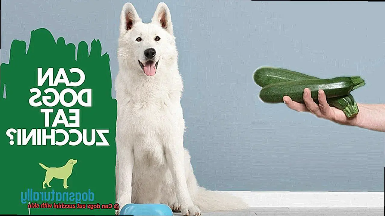 Can dogs eat zucchini with skin-7
