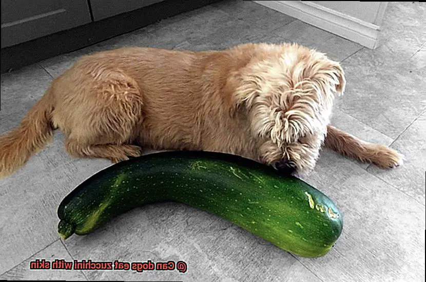 Can dogs eat zucchini with skin-2
