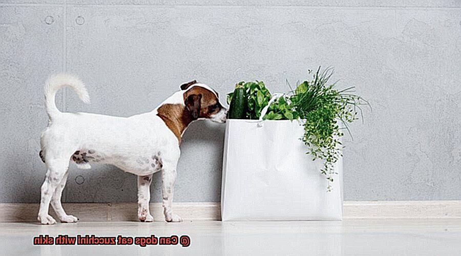 Can dogs eat zucchini with skin-5