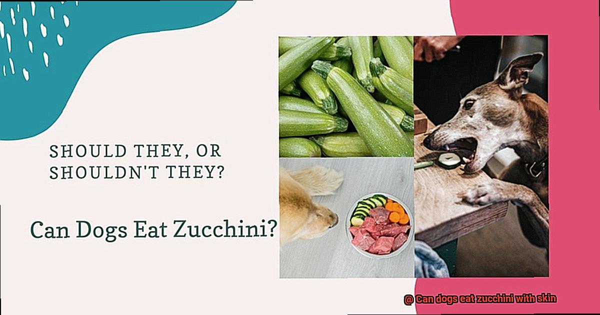 Can dogs eat zucchini with skin-4