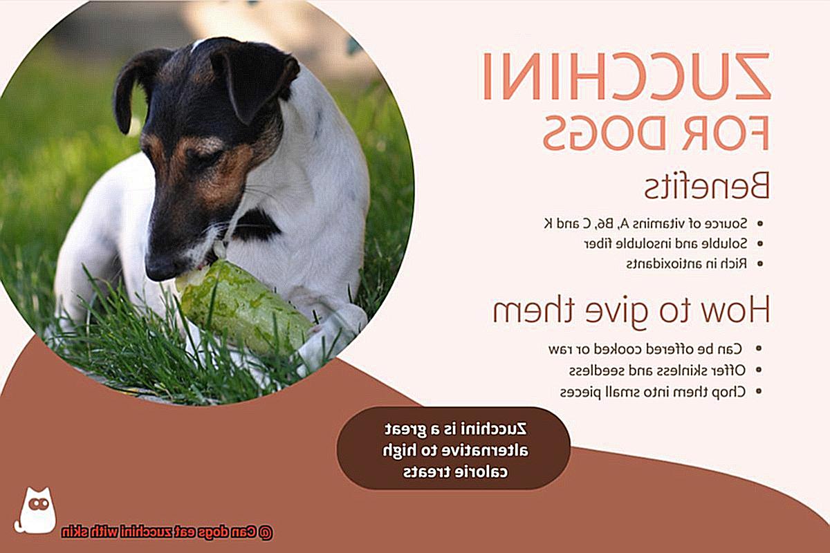 Can dogs eat zucchini with skin-6