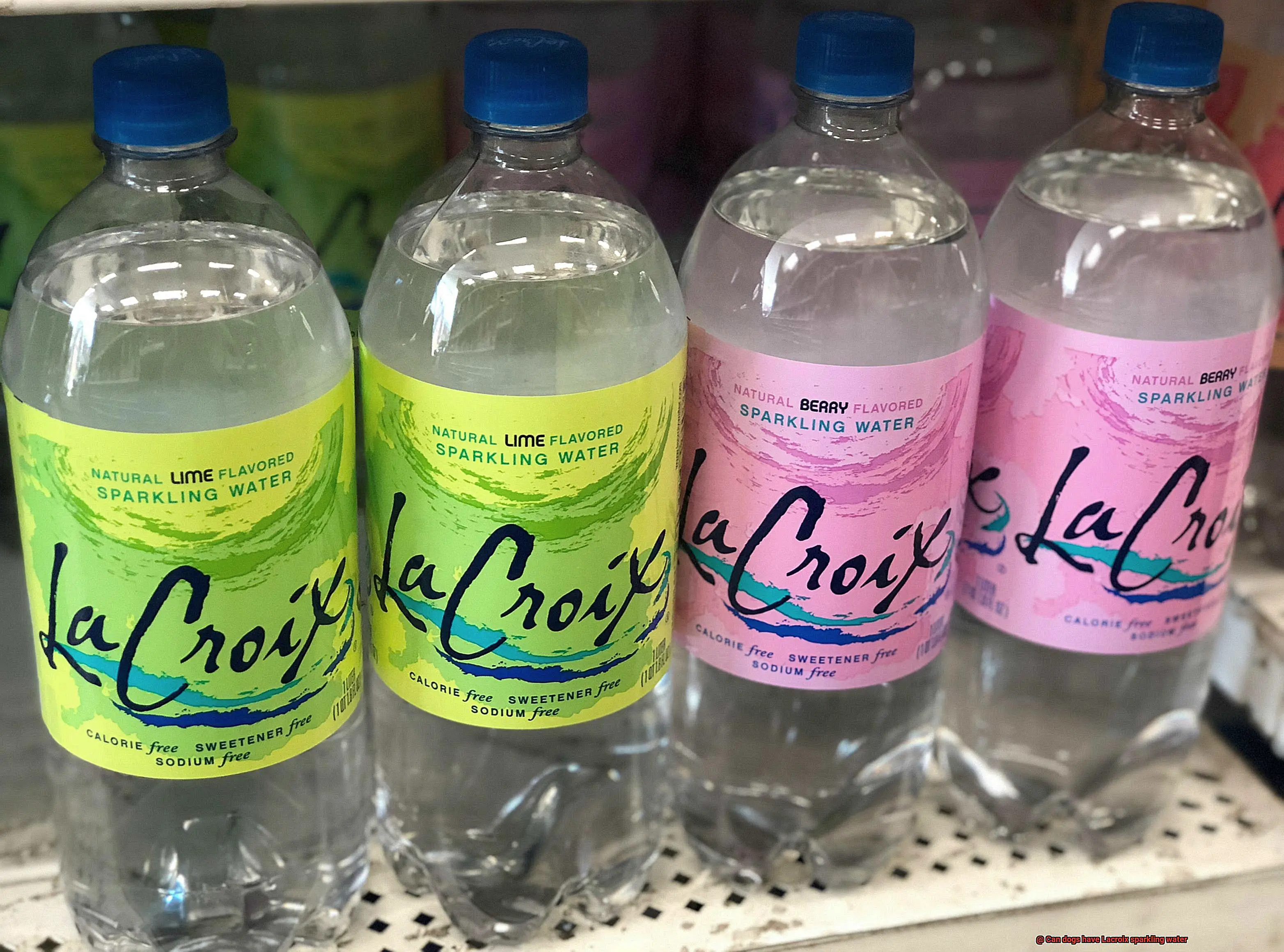 Can dogs have Lacroix sparkling water-3