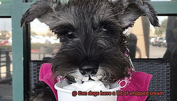 Can dogs have a bit of whipped cream-4