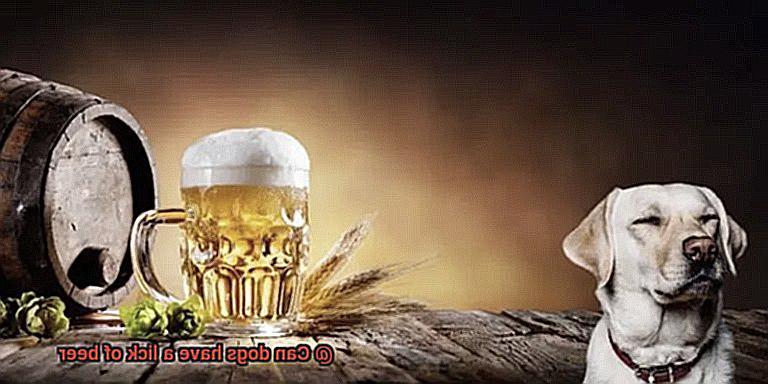Can dogs have a lick of beer-5