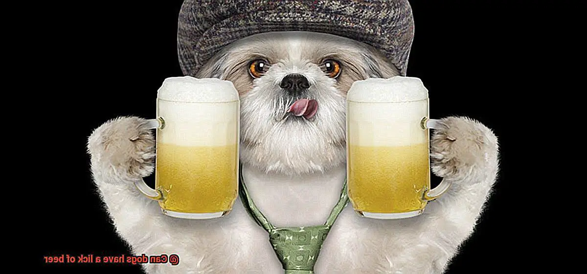 Can dogs have a lick of beer-6