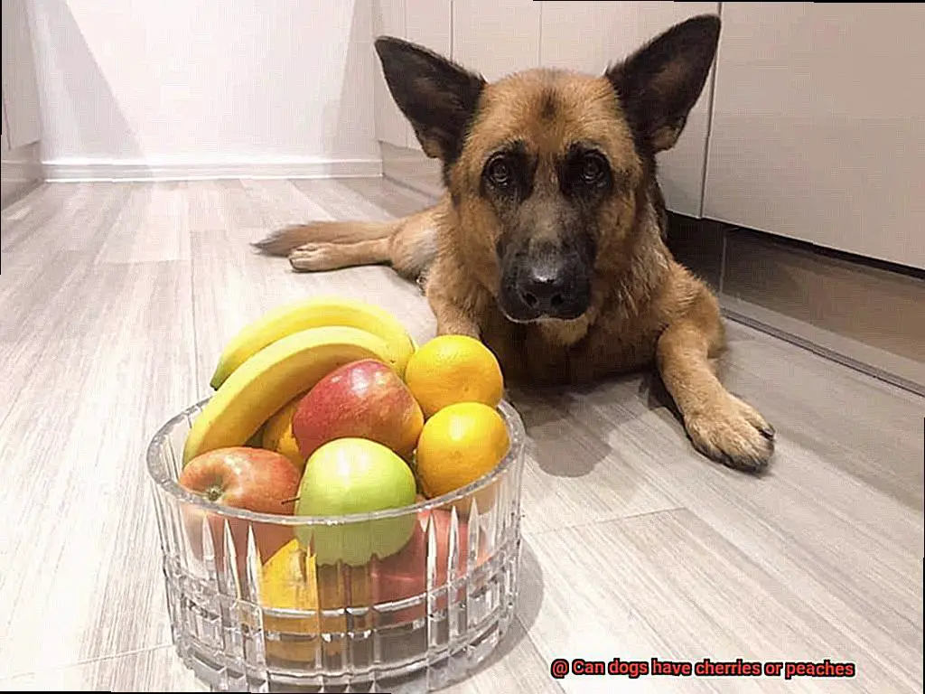 Can dogs have cherries or peaches-2