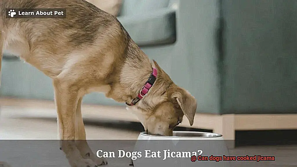 Can dogs have cooked jicama-2