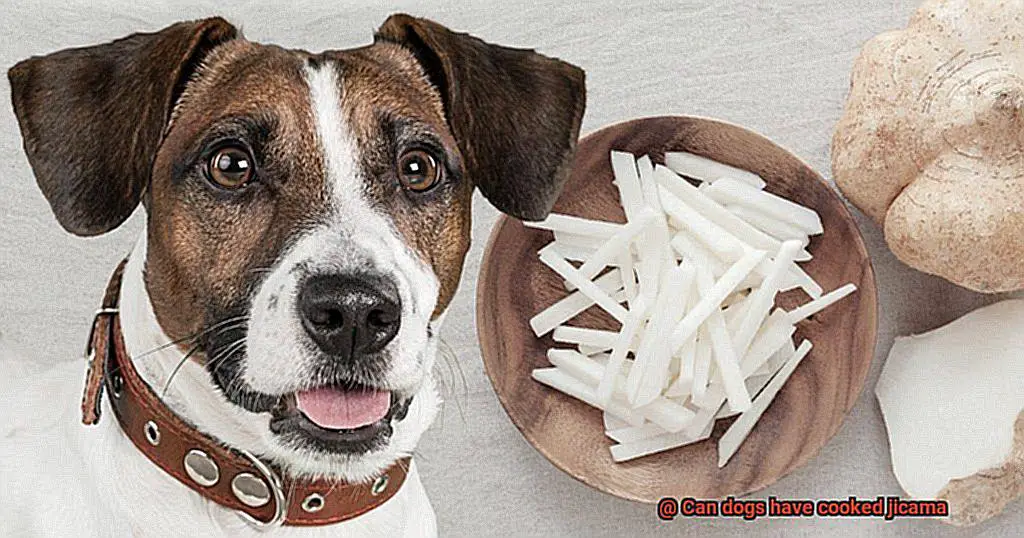 Can dogs have cooked jicama-4
