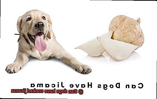 Can dogs have cooked jicama-3