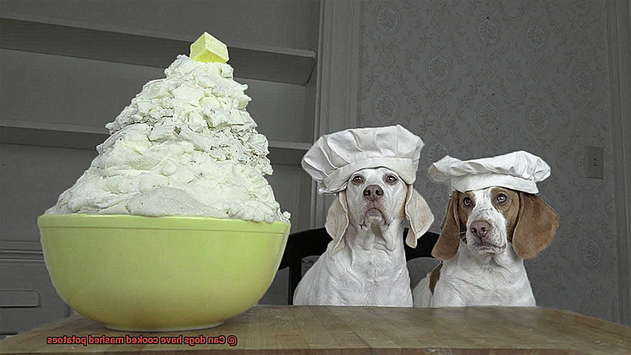 Can dogs have cooked mashed potatoes-2