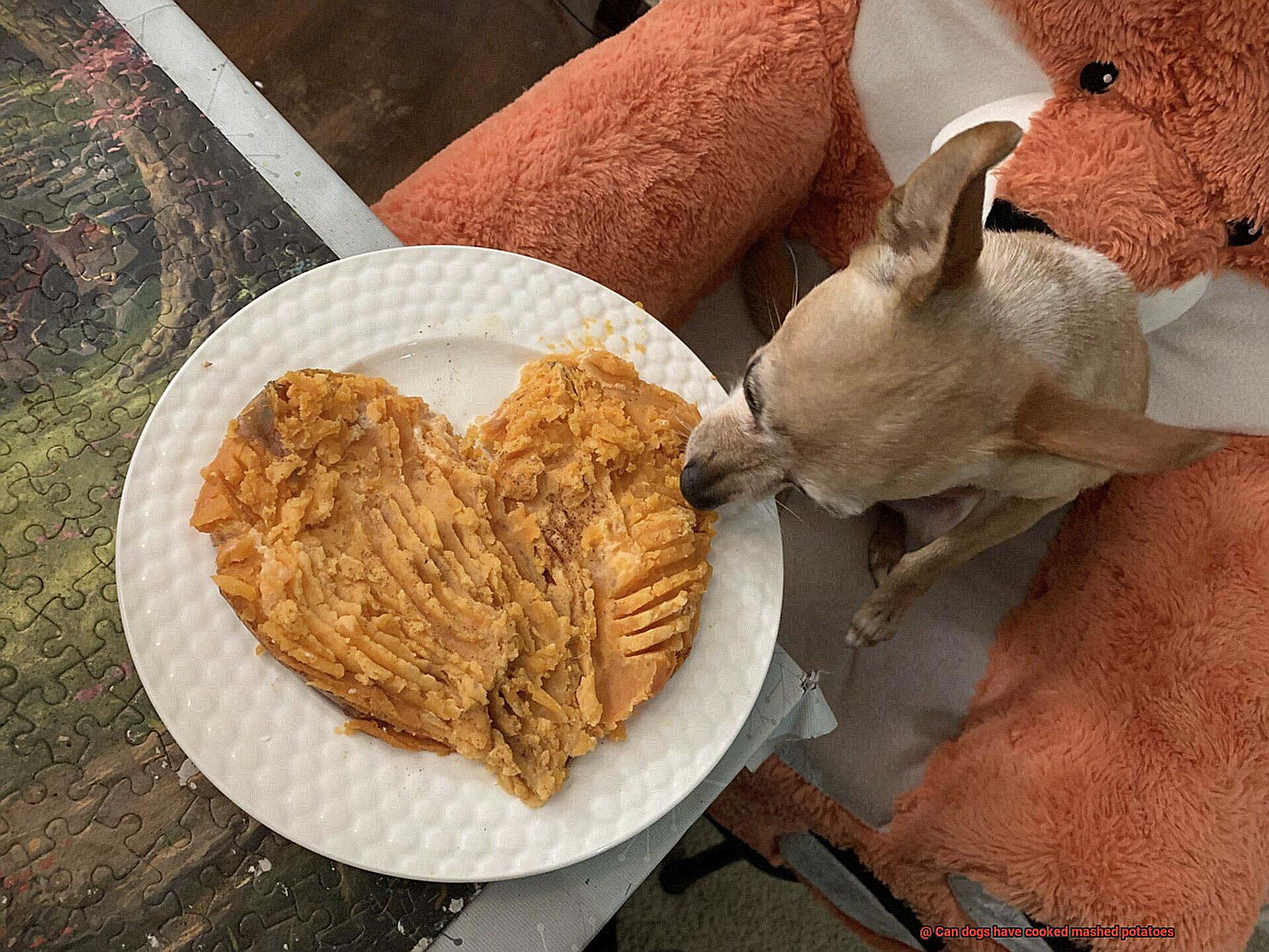 Can dogs have cooked mashed potatoes-3