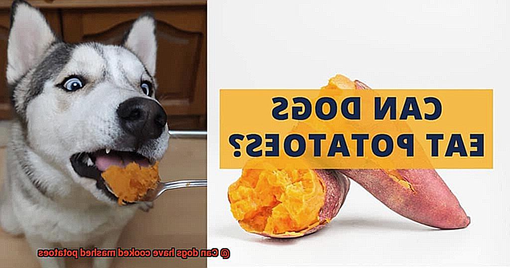 Can dogs have cooked mashed potatoes-6