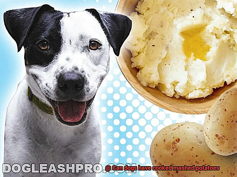 Can dogs have cooked mashed potatoes-4