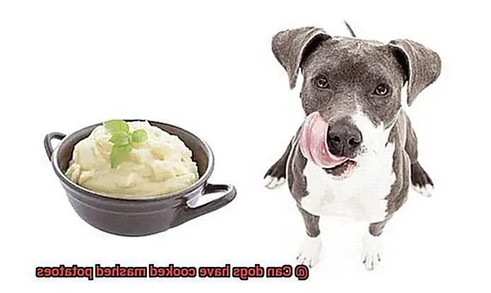 Can dogs have cooked mashed potatoes-5