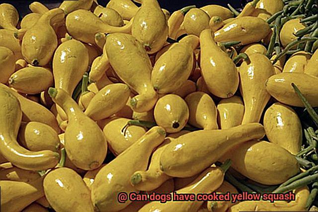 Can dogs have cooked yellow squash-3