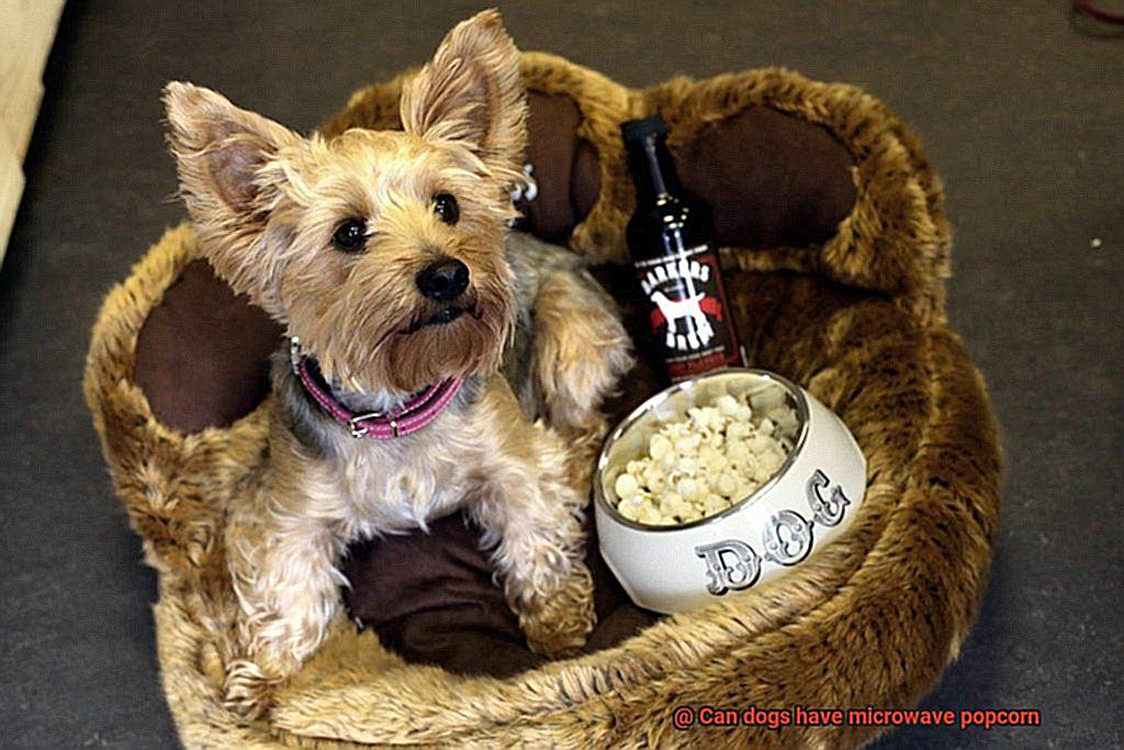 Can dogs have microwave popcorn-2