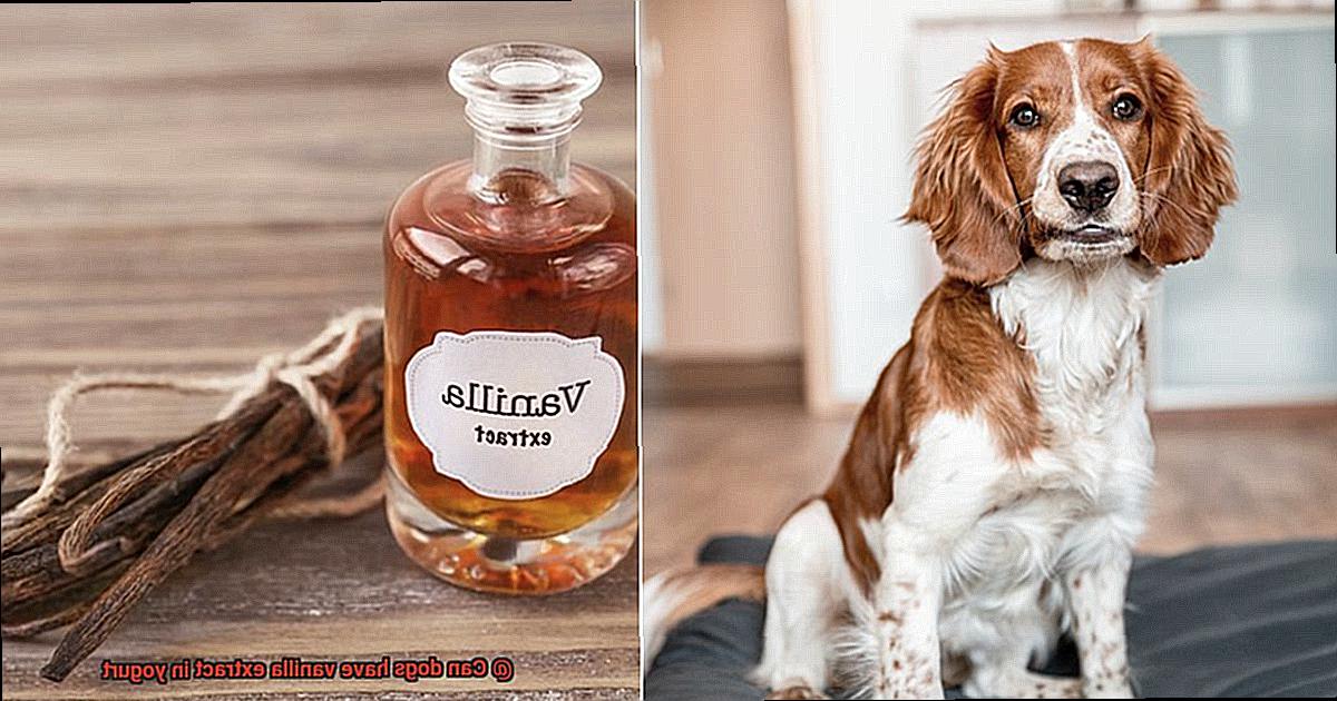 Can dogs have vanilla extract in yogurt-2