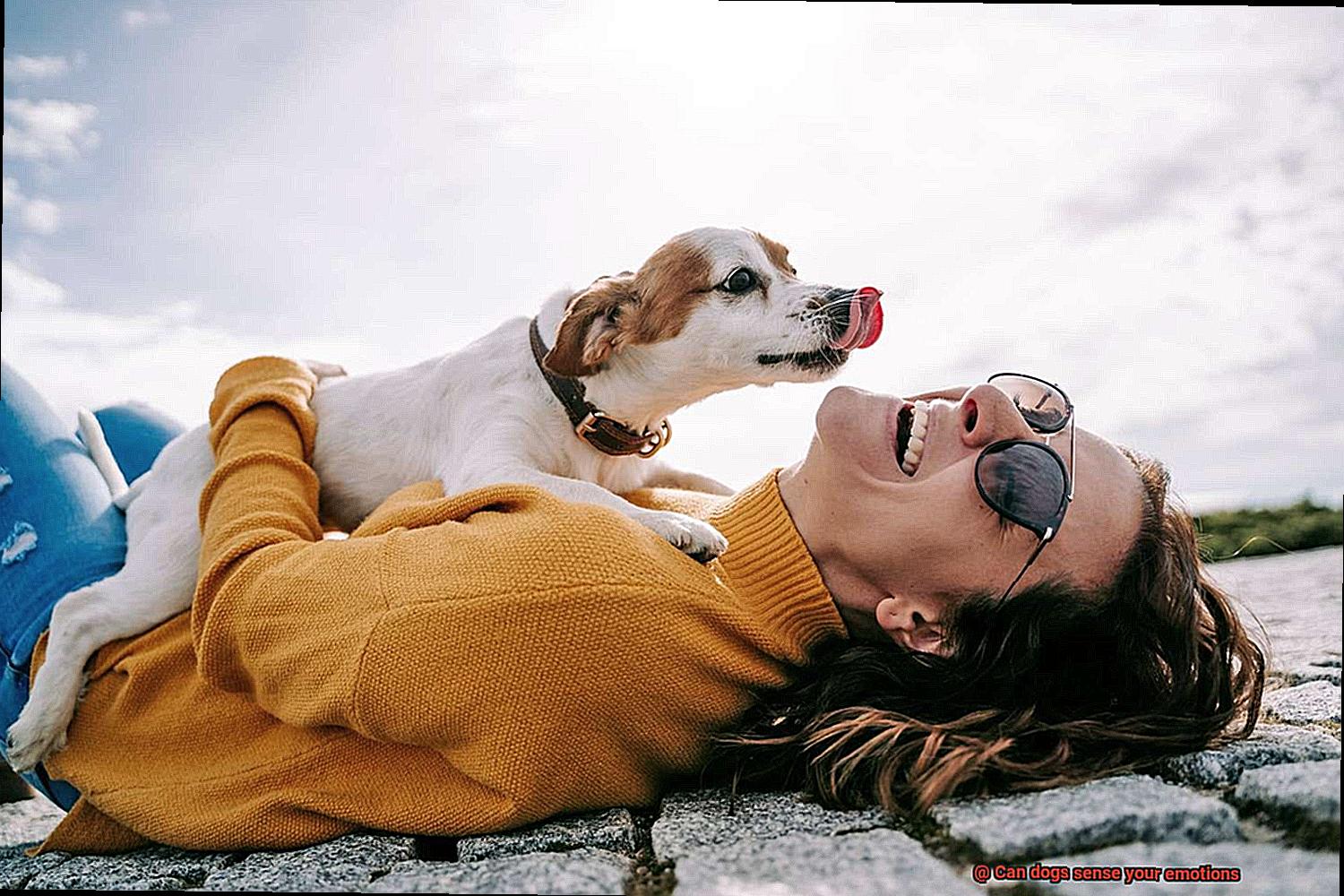 Can dogs sense your emotions-3
