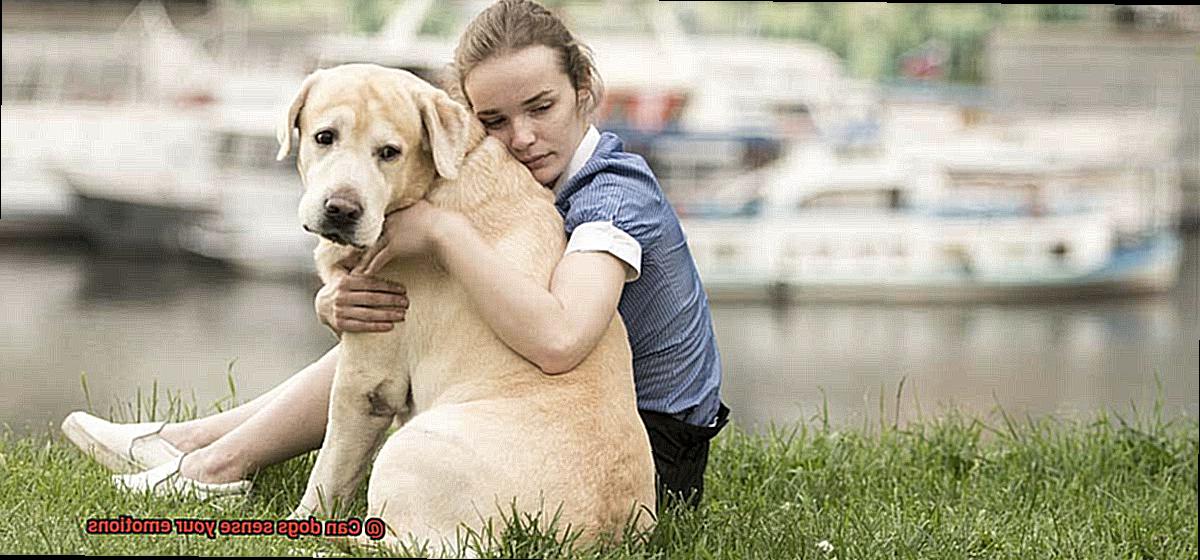 Can dogs sense your emotions-4