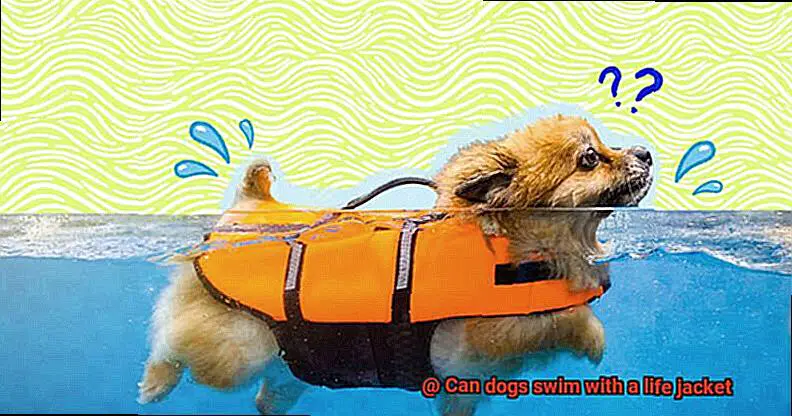 Can dogs swim with a life jacket-2