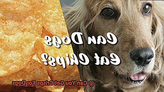 Can You Get Crisps For Dogs-2