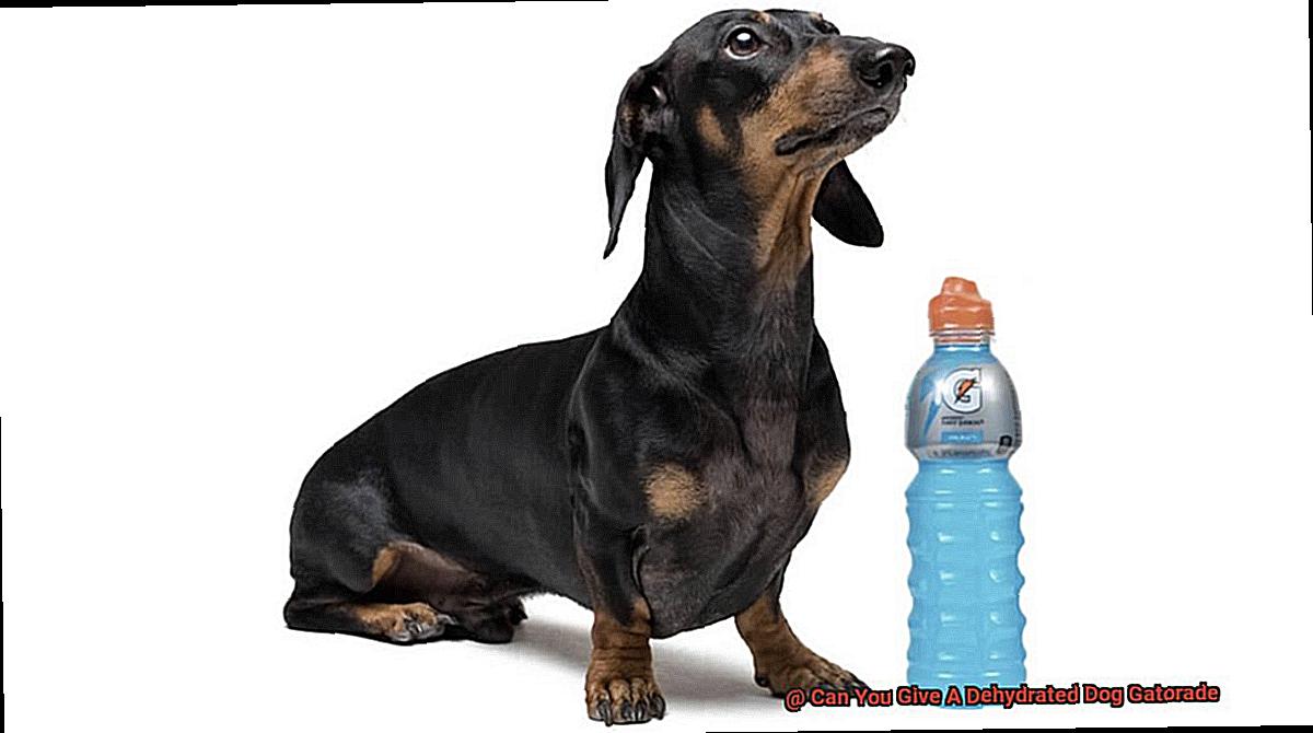 Can You Give A Dehydrated Dog Gatorade-2