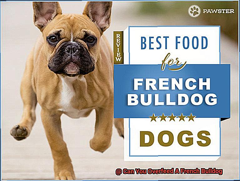 Can You Overfeed A French Bulldog-6