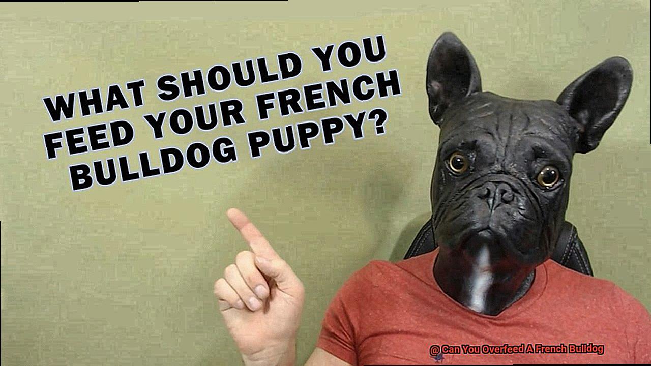 Can You Overfeed A French Bulldog-3