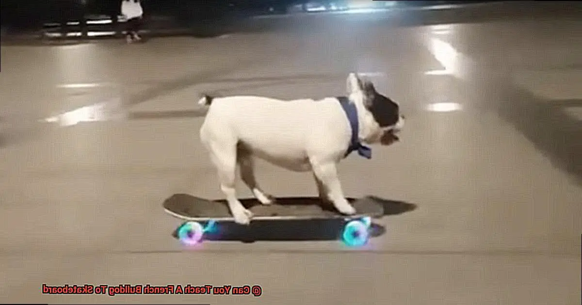 Can You Teach A French Bulldog To Skateboard-3