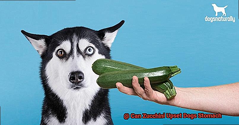 Can Zucchini Upset Dogs Stomach-2