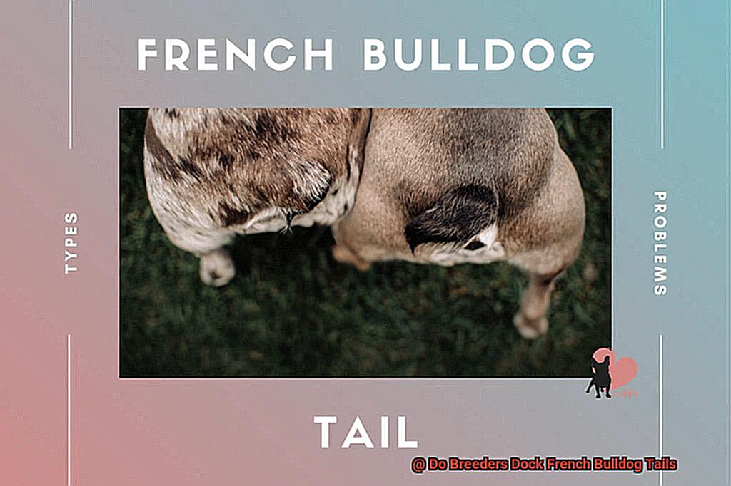 Do Breeders Dock French Bulldog Tails-2